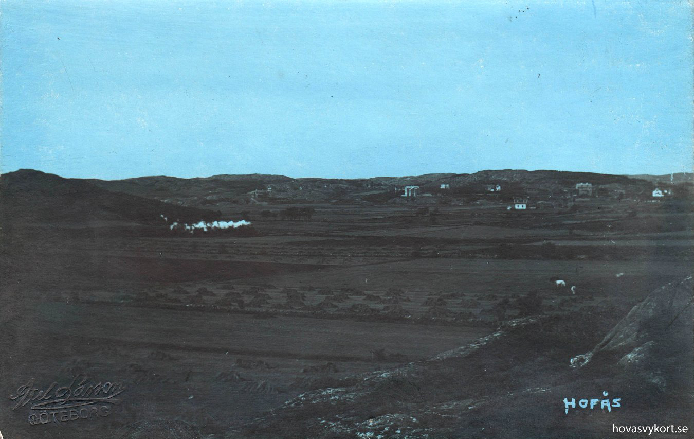 ab03